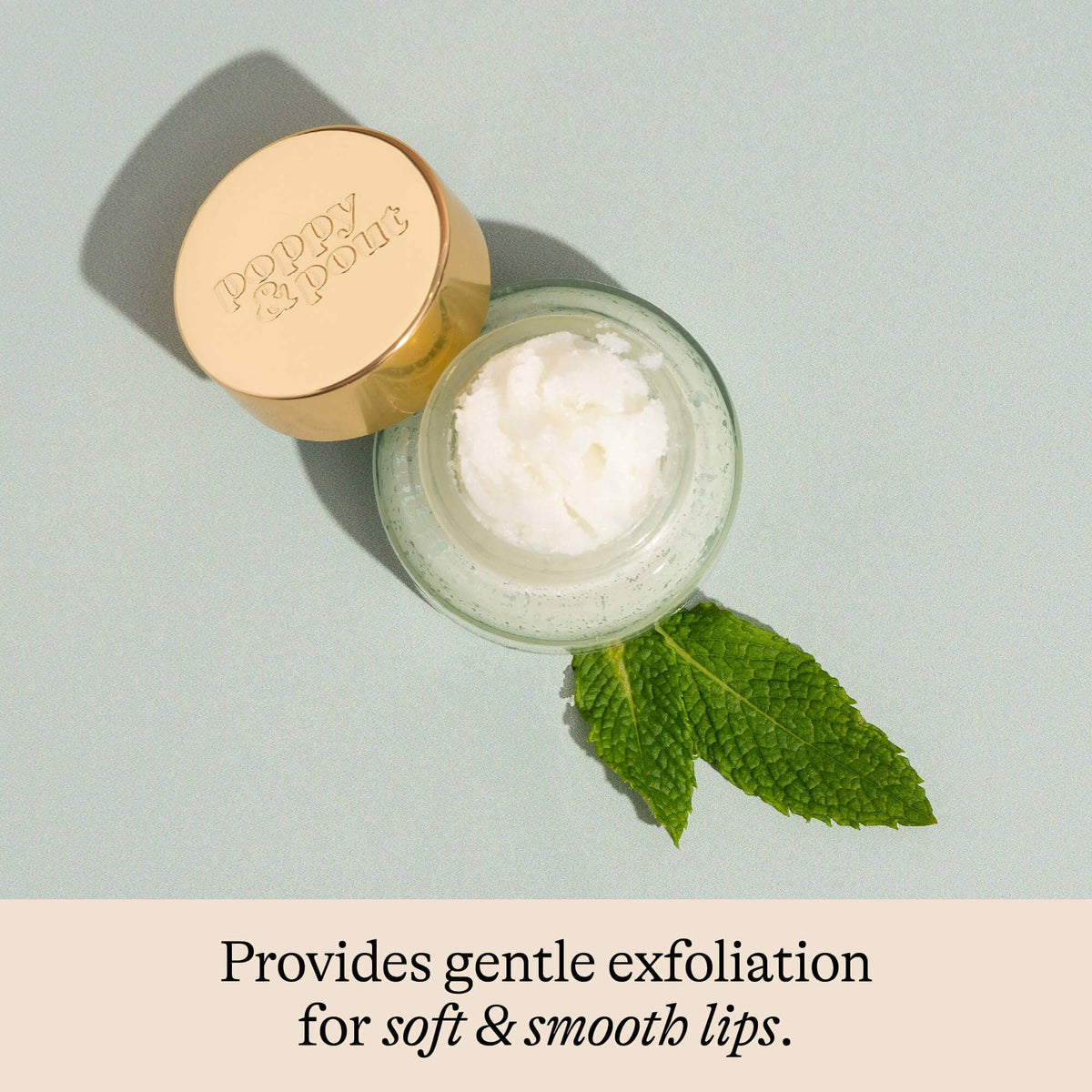Sweet Mint Lip Scrub