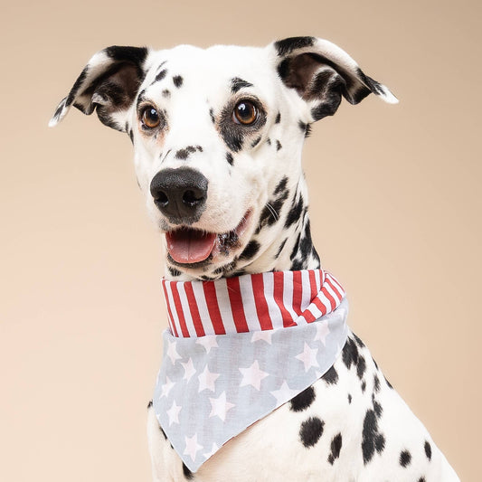 Liberty Dog Bandana