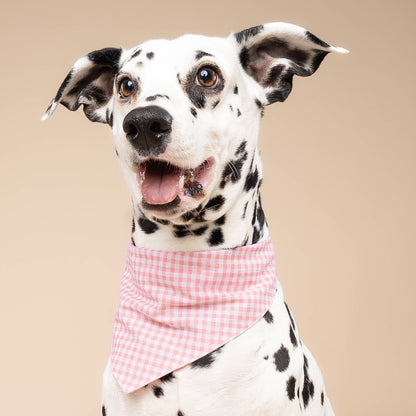 Pink Pixie Pet Bandana