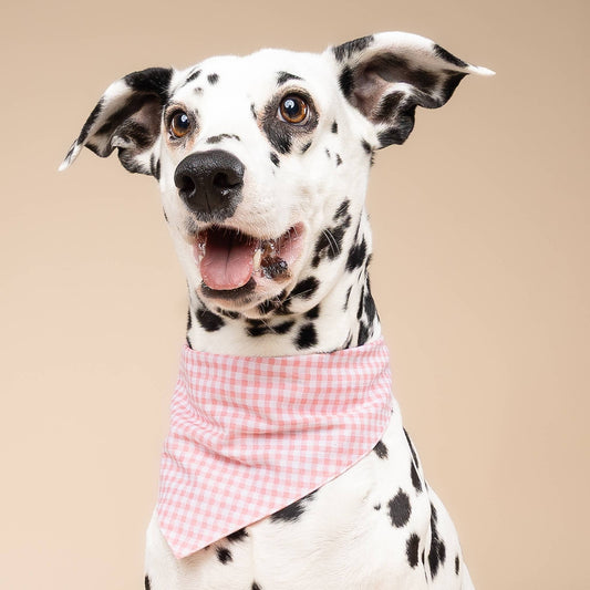 Pink Pixie Pet Bandana