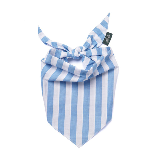 Cabana Dog Bandana