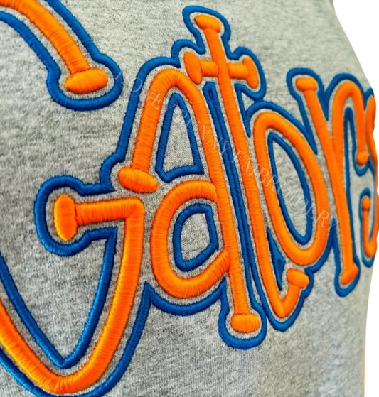 Gators Team Mascot School 3D Puff Outline