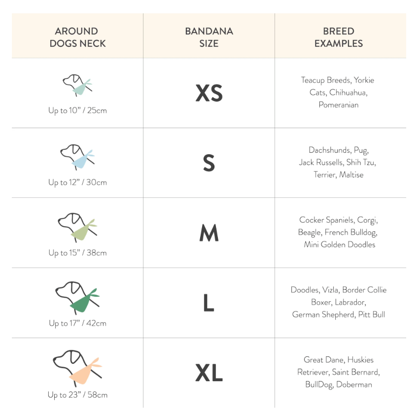 Dog bandana size chart with neck measurements and breed examples.