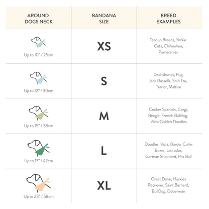 Dog bandana size chart with neck measurements and breed examples.