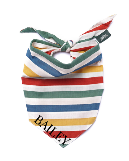 Explorer Pet Bandana