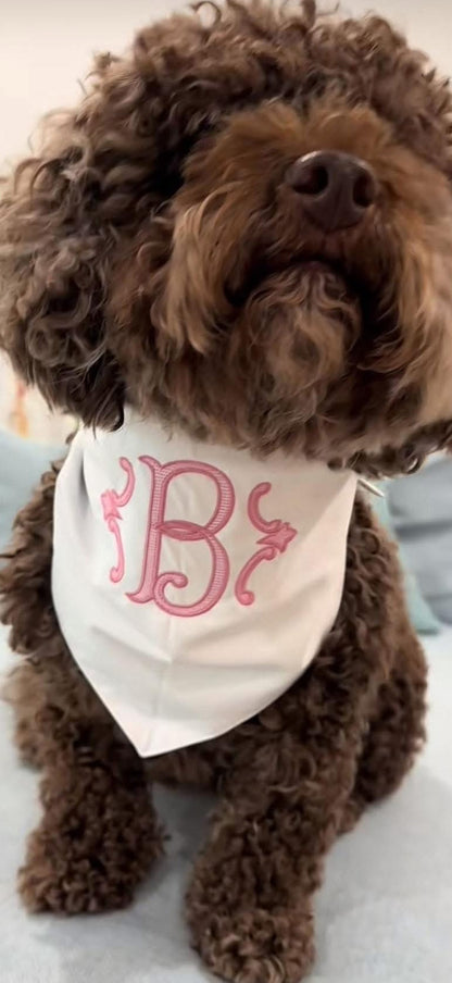 Brown dog wearing a white bandana with pink letter 'B' on a light background