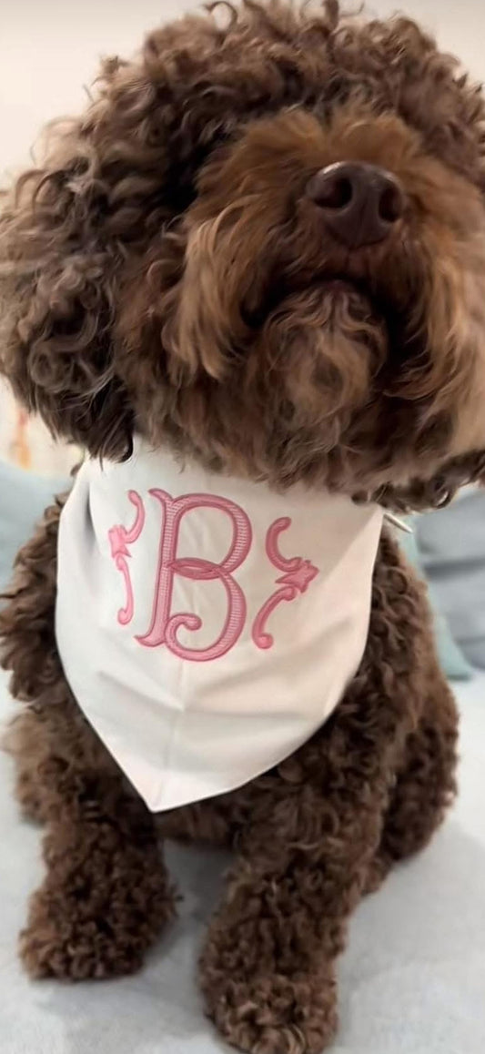 Brown dog wearing a white bandana with pink letter 'B' on a light background